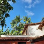 20201217_154836 20201217_154836