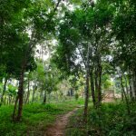 20201217_162828 20201217_162828