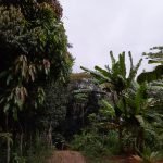 20210226_173940 20210226_173940