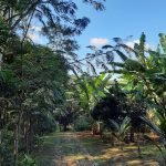 20210702_151028 20210702_151028