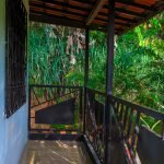 IMG_5867 (1) IMG_5867 (1)