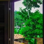 IMG_5944 (1) IMG_5944 (1)