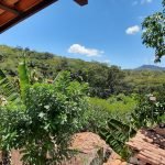 20210903_113933 20210903_113933