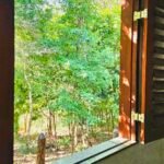 20241026_143518 20241026_143518